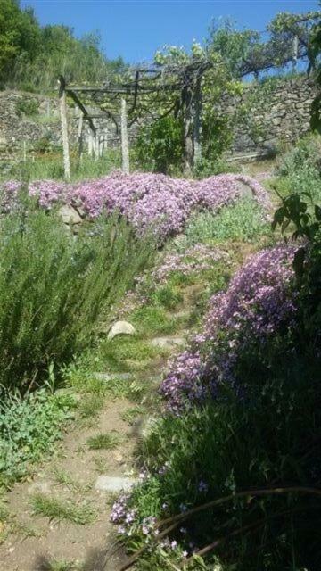 Chiaverano Bed & Breakfast Varionda מראה חיצוני תמונה